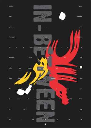 عکس ها و چیدمان شقایق مظلومی در گالری «آتبین»